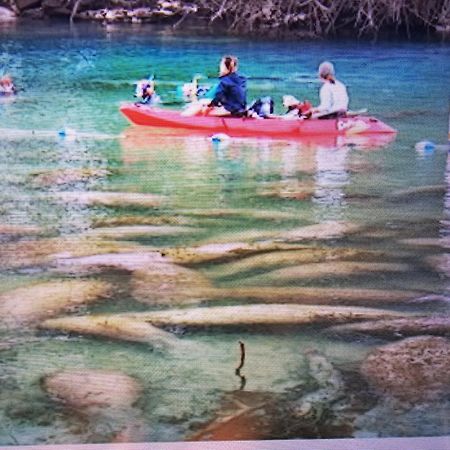 شقة Manatee Watch Den كريستال ريفر المظهر الخارجي الصورة