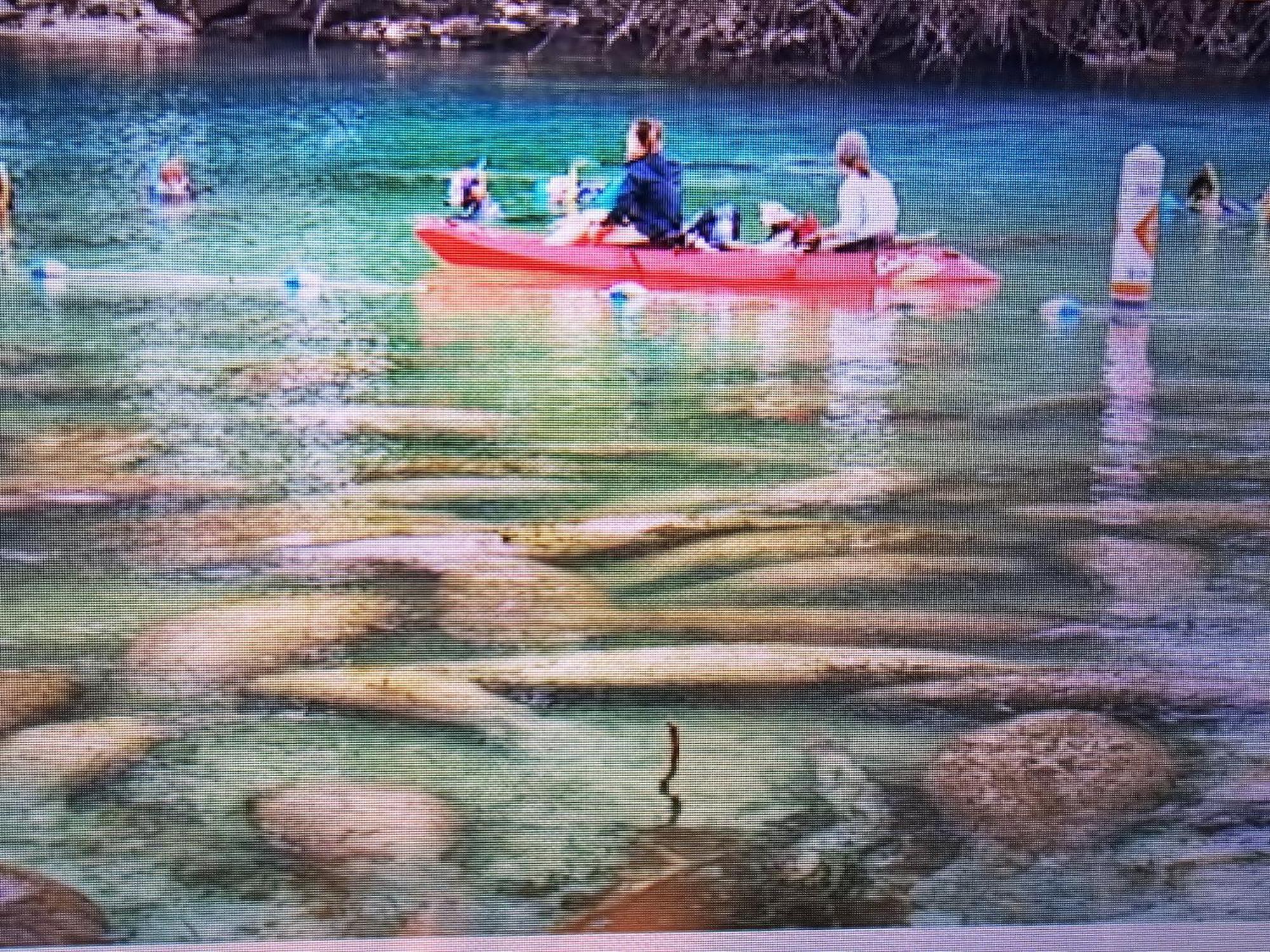 شقة Manatee Watch Den كريستال ريفر المظهر الخارجي الصورة